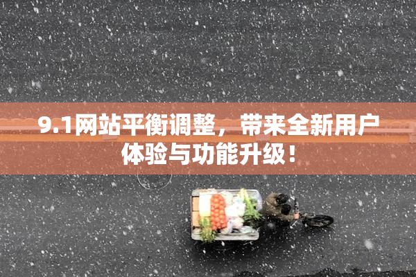 9.1网站平衡调整，带来全新用户体验与功能升级！