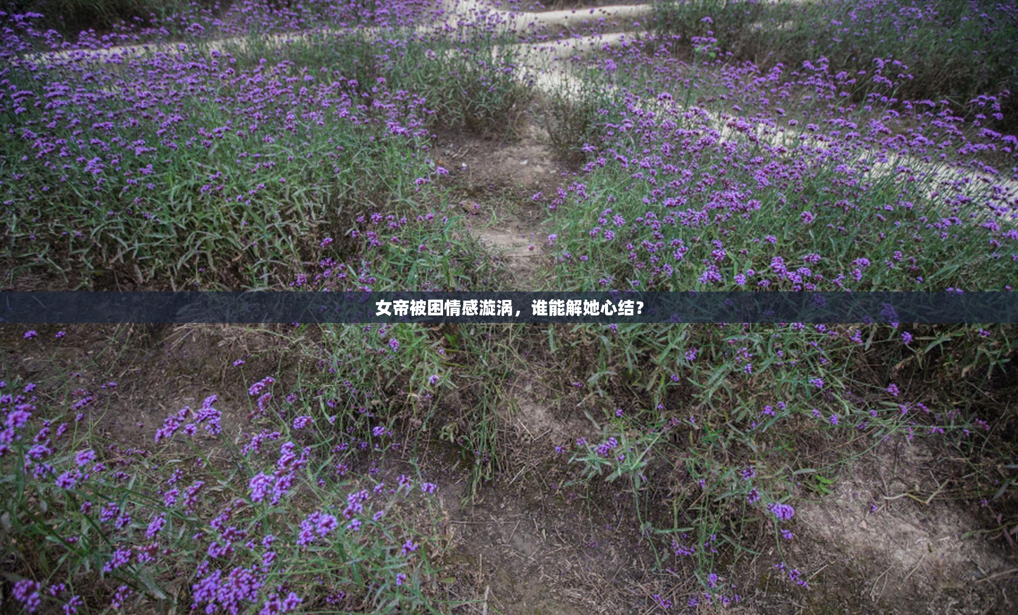 女帝被困情感漩涡，谁能解她心结？