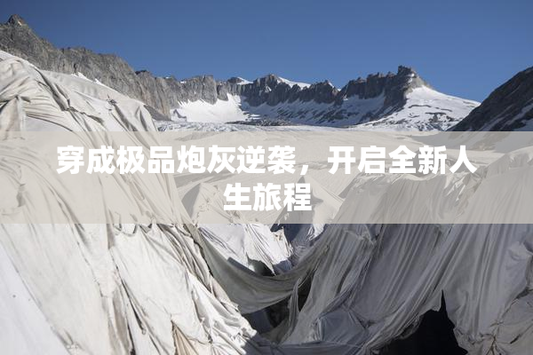 穿成极品炮灰逆袭，开启全新人生旅程