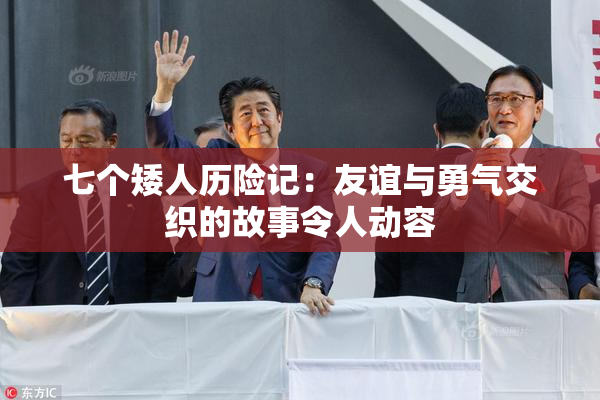 七个矮人历险记：友谊与勇气交织的故事令人动容