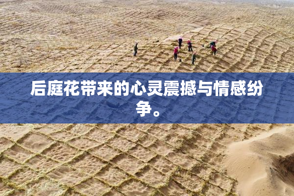 后庭花带来的心灵震撼与情感纷争。