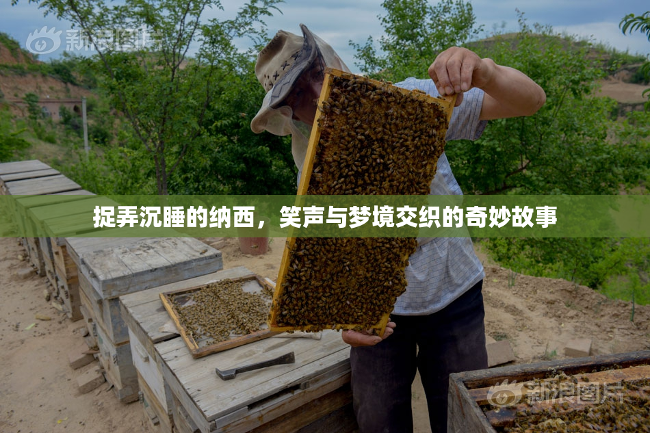 捉弄沉睡的纳西，笑声与梦境交织的奇妙故事