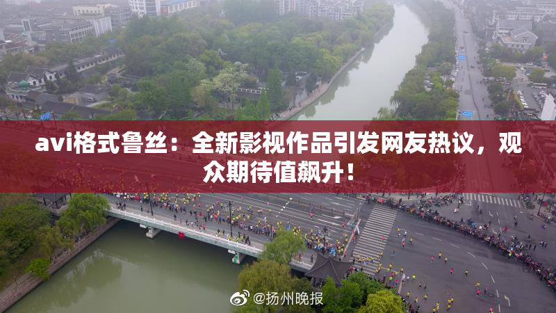 avi格式鲁丝：全新影视作品引发网友热议，观众期待值飙升！