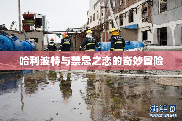 哈利波特与禁忌之恋的奇妙冒险
