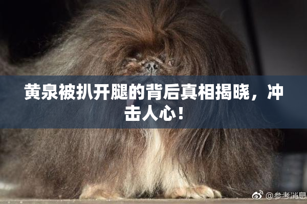 黄泉被扒开腿的背后真相揭晓，冲击人心！