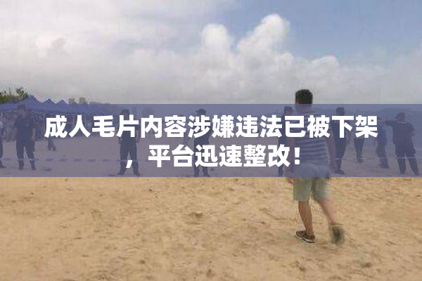 成人毛片内容涉嫌违法已被下架，平台迅速整改！