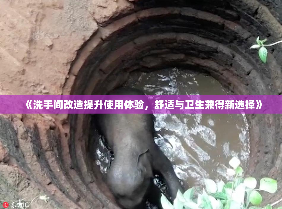 《洗手间改造提升使用体验，舒适与卫生兼得新选择》