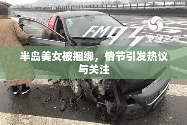半岛美女被捆绑，情节引发热议与关注