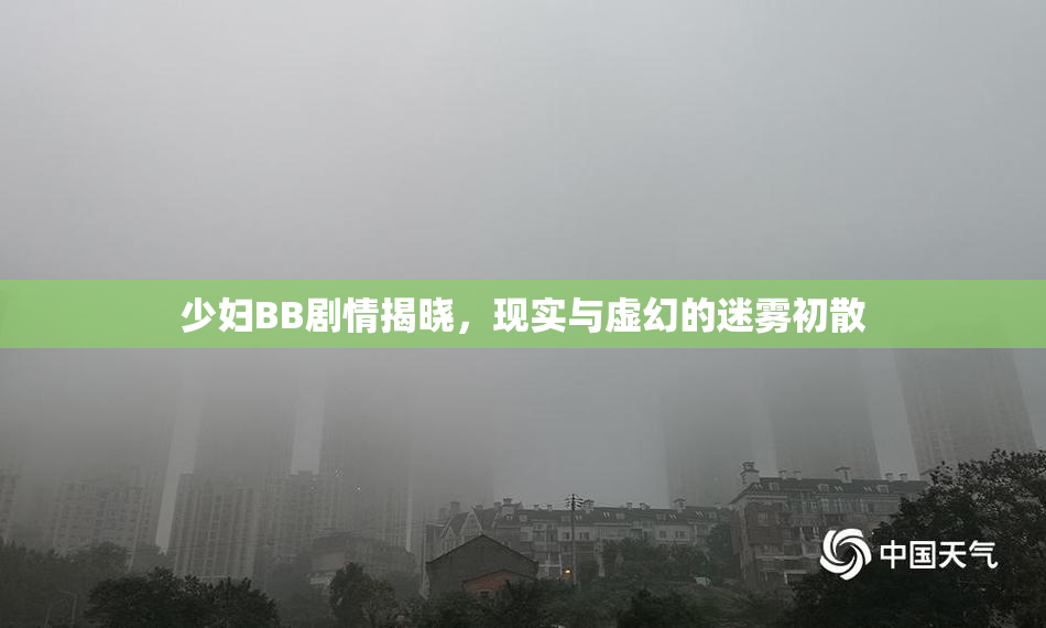 少妇BB剧情揭晓，现实与虚幻的迷雾初散