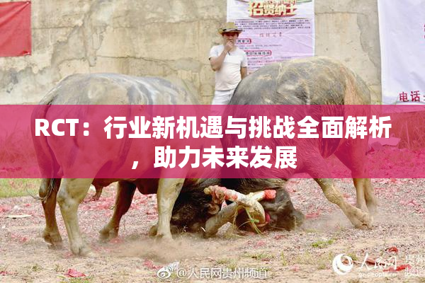 RCT：行业新机遇与挑战全面解析，助力未来发展