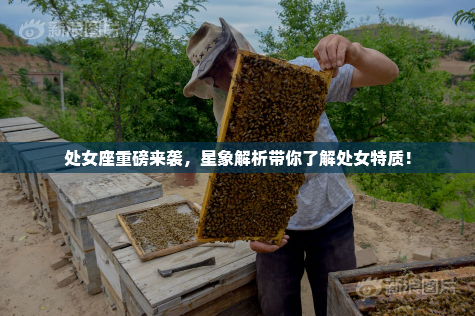 处女座重磅来袭，星象解析带你了解处女特质！
