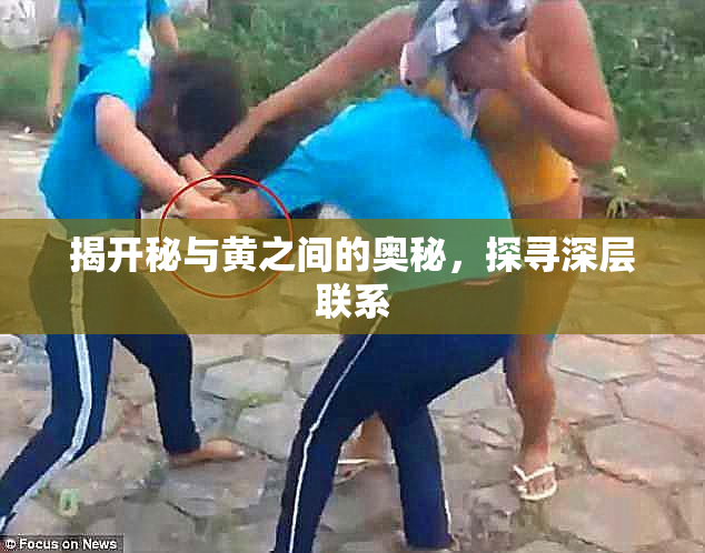 揭开秘与黄之间的奥秘，探寻深层联系