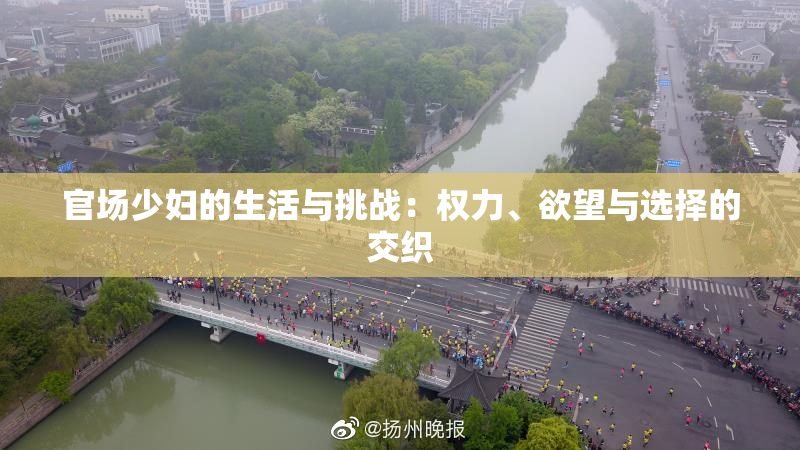 官场少妇的生活与挑战：权力、欲望与选择的交织