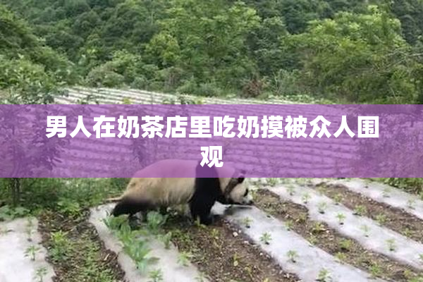 男人在奶茶店里吃奶摸被众人围观