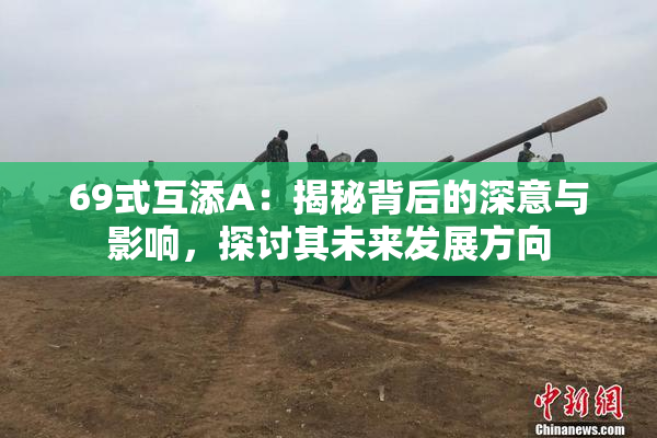 69式互添A：揭秘背后的深意与影响，探讨其未来发展方向