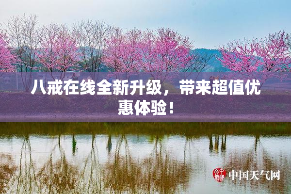 八戒在线全新升级，带来超值优惠体验！