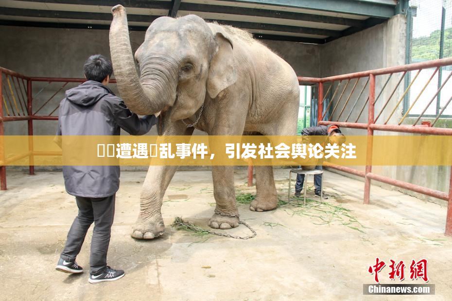 妺妺遭遇婬乱事件，引发社会舆论关注