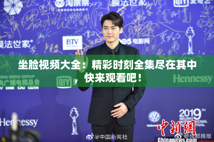 坐脸视频大全：精彩时刻全集尽在其中，快来观看吧！