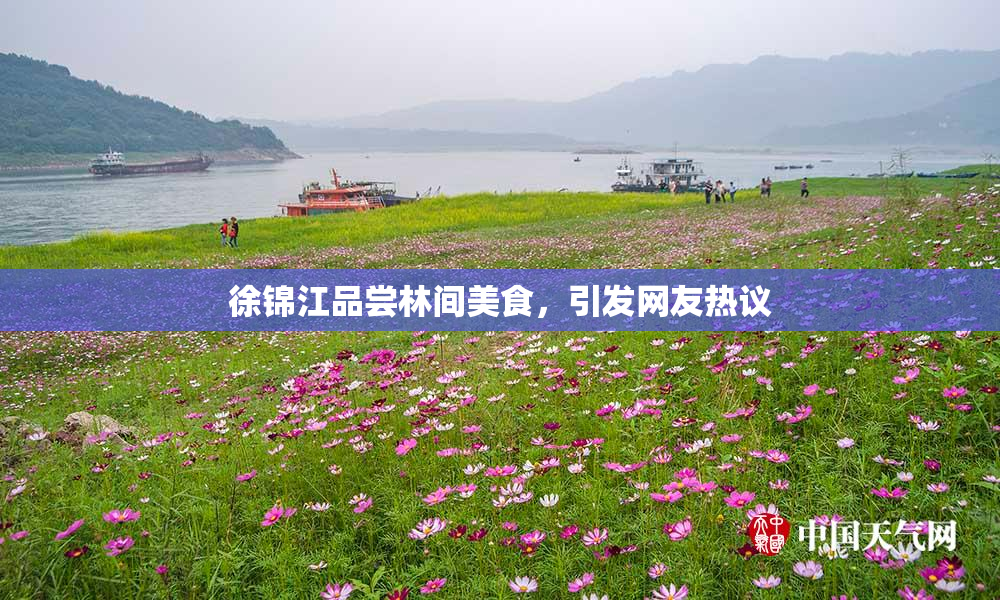徐锦江品尝林间美食，引发网友热议