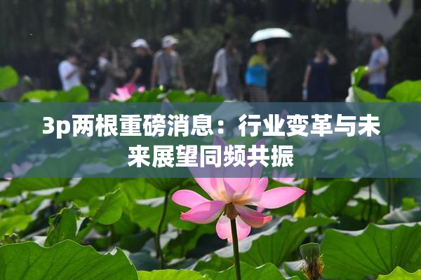 3p两根重磅消息：行业变革与未来展望同频共振