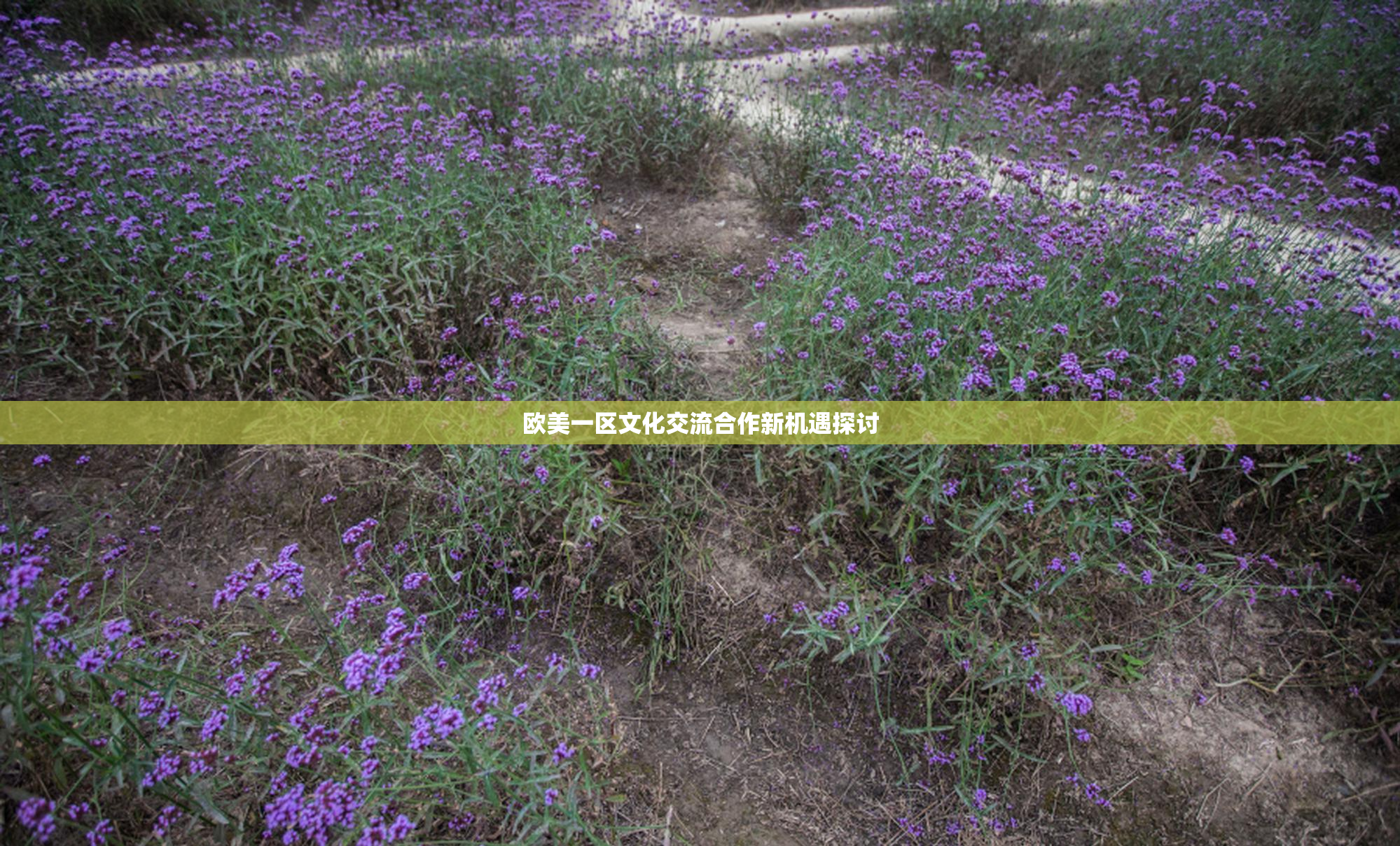 欧美一区文化交流合作新机遇探讨