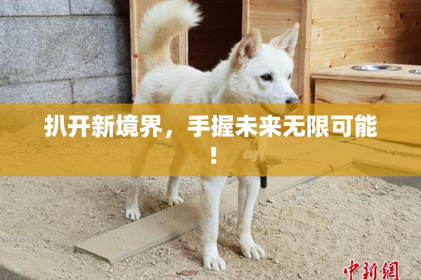 扒开新境界，手握未来无限可能！