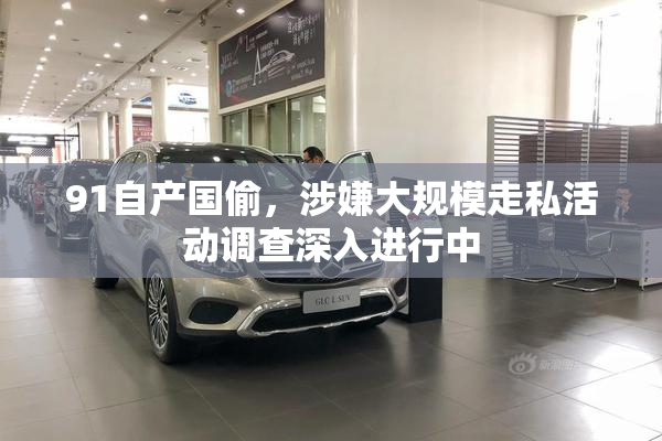 91自产国偷，涉嫌大规模走私活动调查深入进行中