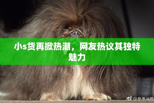小s货再掀热潮，网友热议其独特魅力