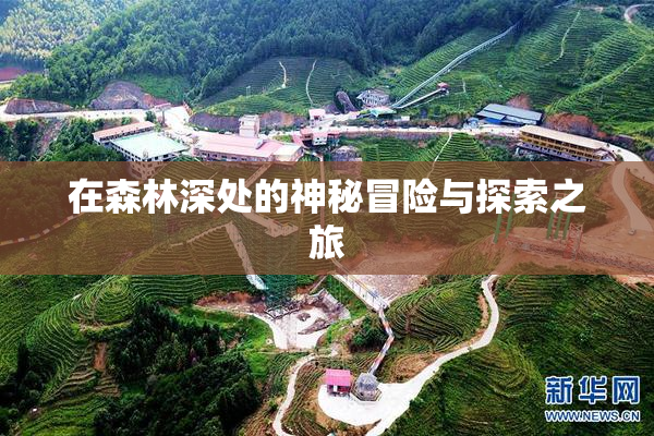 在森林深处的神秘冒险与探索之旅