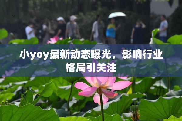 小yoy最新动态曝光，影响行业格局引关注