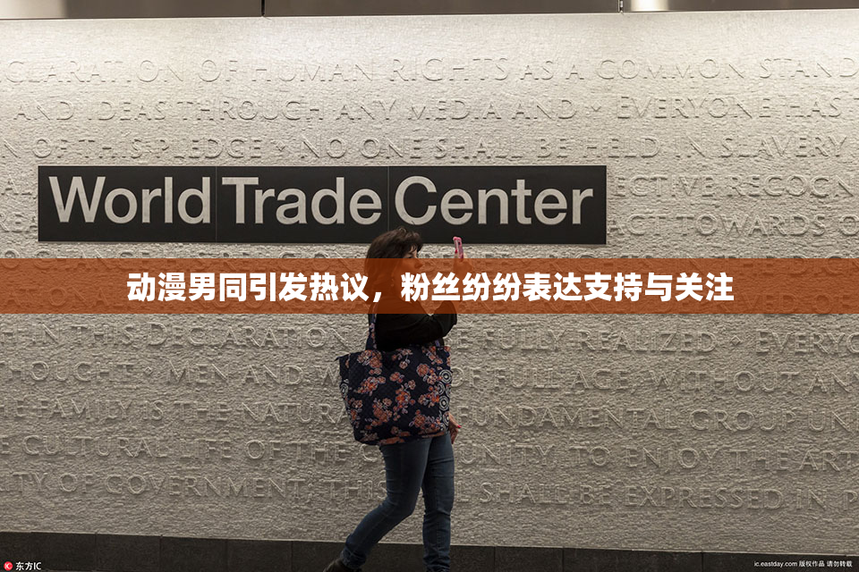 动漫男同引发热议，粉丝纷纷表达支持与关注