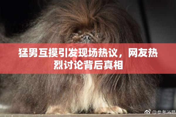 猛男互摸引发现场热议，网友热烈讨论背后真相