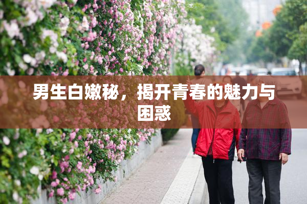 男生白嫩秘，揭开青春的魅力与困惑
