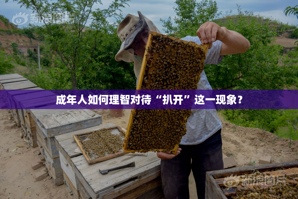 成年人如何理智对待“扒开”这一现象？