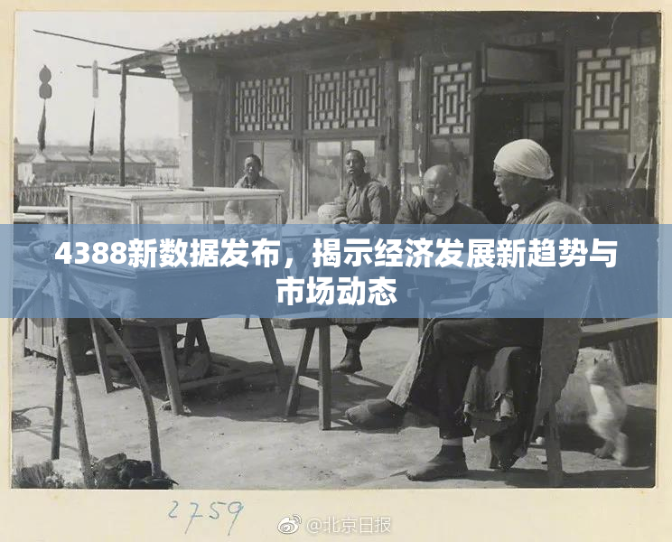 4388新数据发布，揭示经济发展新趋势与市场动态