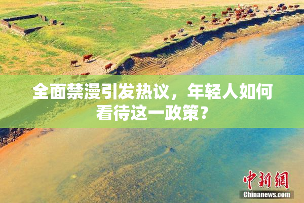 全面禁漫引发热议，年轻人如何看待这一政策？