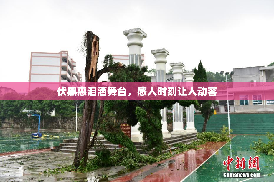伏黑惠泪洒舞台，感人时刻让人动容