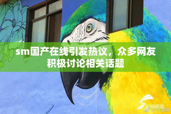 sm国产在线引发热议，众多网友积极讨论相关话题