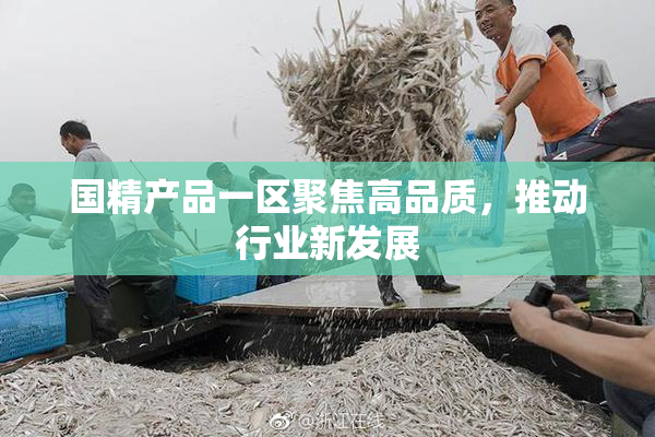 国精产品一区聚焦高品质，推动行业新发展