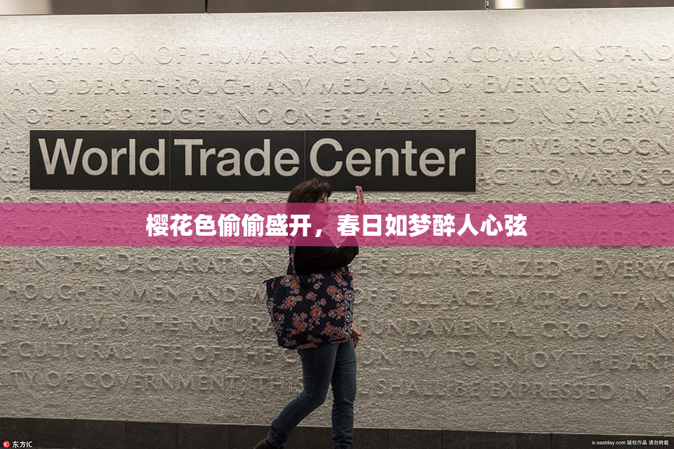 樱花色偷偷盛开，春日如梦醉人心弦