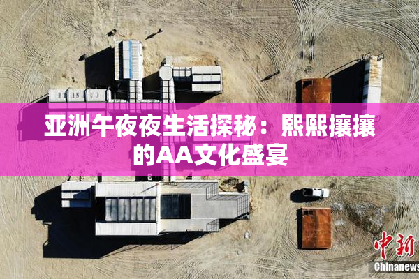 亚洲午夜夜生活探秘：熙熙攘攘的AA文化盛宴