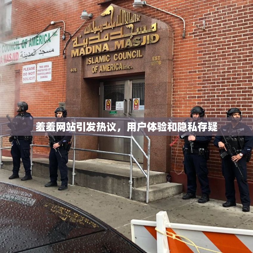 羞羞网站引发热议，用户体验和隐私存疑