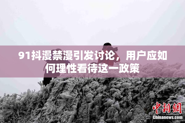 91抖漫禁漫引发讨论，用户应如何理性看待这一政策