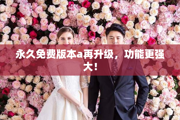 永久免费版本a再升级，功能更强大！