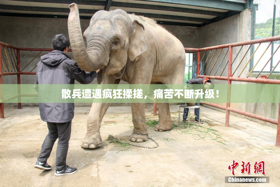 散兵遭遇疯狂揉搓，痛苦不断升级！