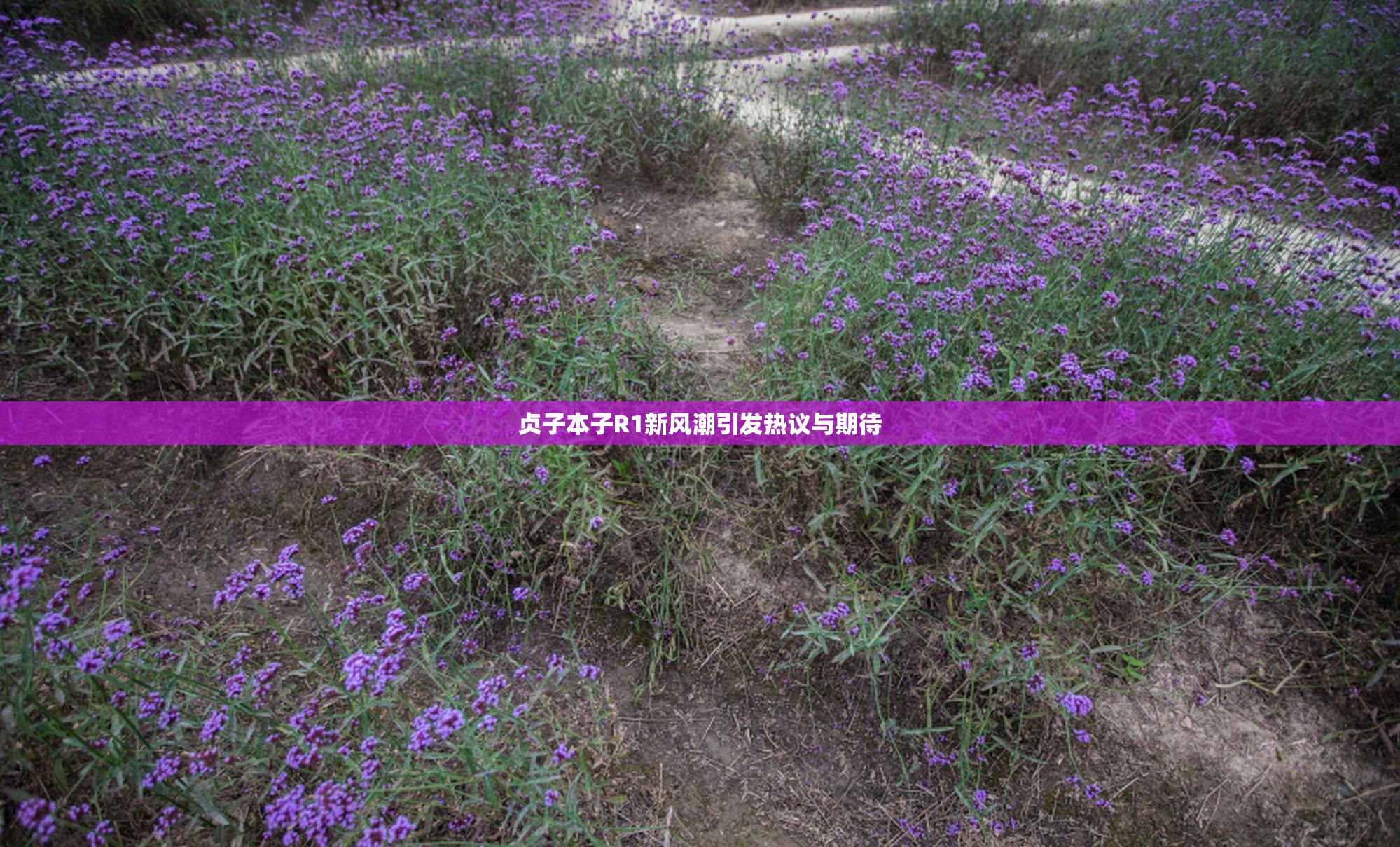 贞子本子R1新风潮引发热议与期待