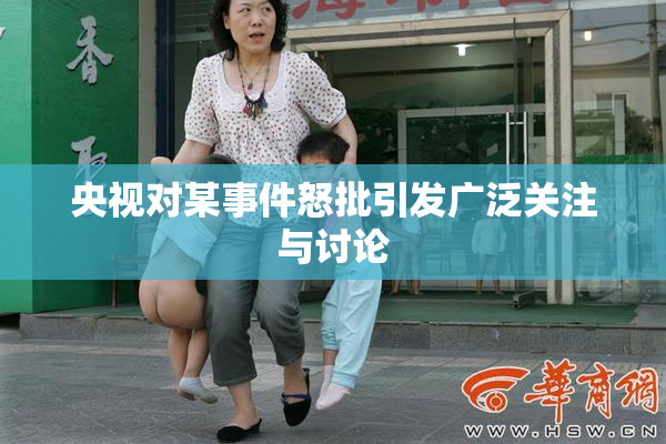 央视对某事件怒批引发广泛关注与讨论