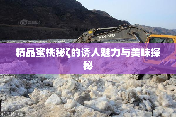 精品蜜桃秘ζ的诱人魅力与美味探秘