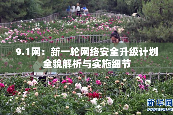 9.1网：新一轮网络安全升级计划全貌解析与实施细节