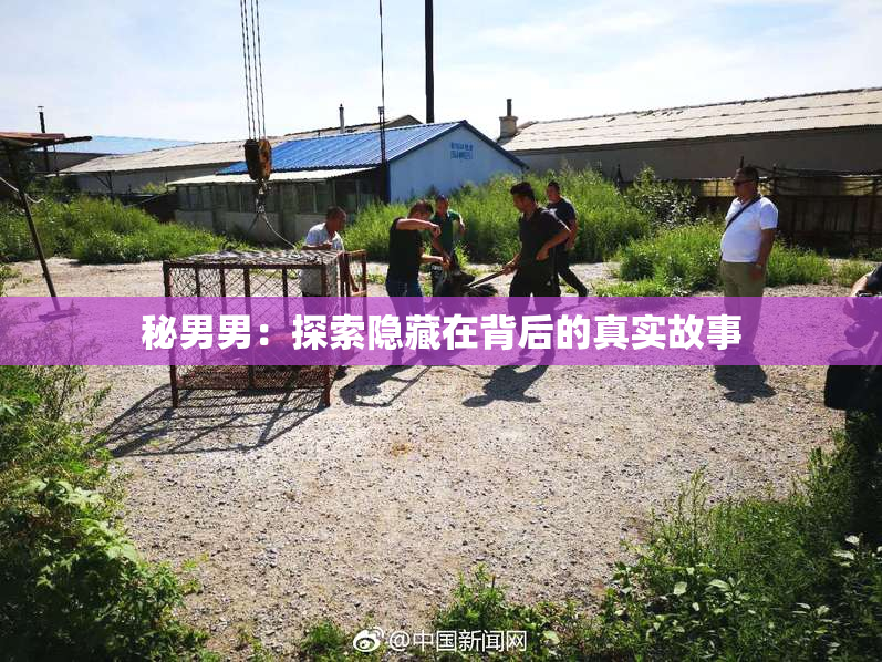 秘男男：探索隐藏在背后的真实故事